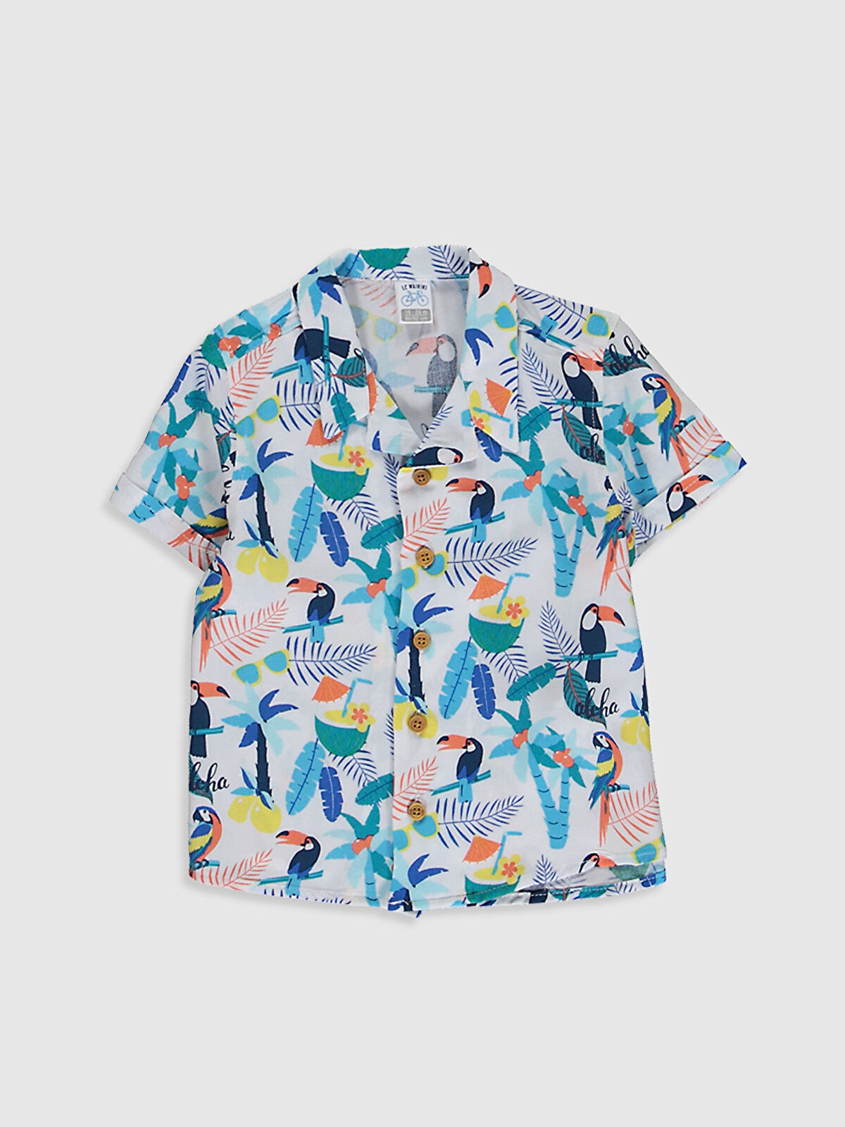 24 36 Ay Erkek Bebek Kiyafetleri 24 36 Aylik Erkek Bebek Giyim Lc Waikiki