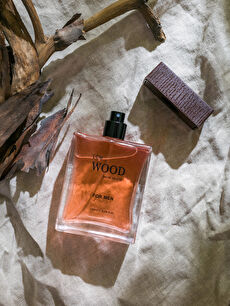 Wood EDT Men s Perfume 120 Ml S34064Z8 M0T S34064Z8 M0T