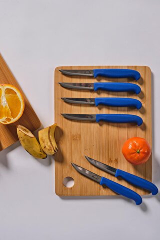 MaisonArt Steel | 5 Parça Çelik Meyve Bıçağı Seti | Mavi Saplı Bıçak Seti