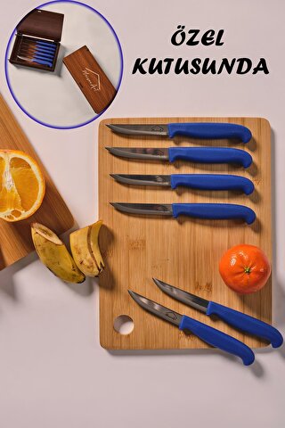 MaisonArt Steel | Kutulu 5 Parça Çelik Meyve Bıçağı Seti | Mavi Saplı Bıçak Seti