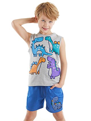 Denokids Renkli Dinolar Erkek Çocuk T-shirt Şort Takım