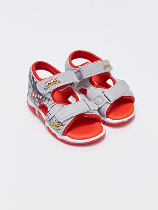 Vd7 chaussure 2025
