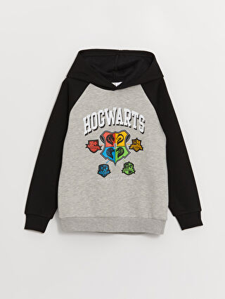 Slytherin pullover h&m online