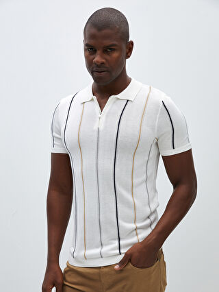 Polo Neck Short Sleeve Striped Men's Knitwear Sweater -S41265Z8-R9J -  S41265Z8-R9J - LC Waikiki