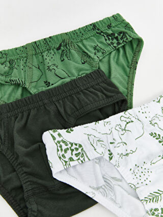 LC WAIKIKI Boys' Printed Knickers with Elastic Waistband 3