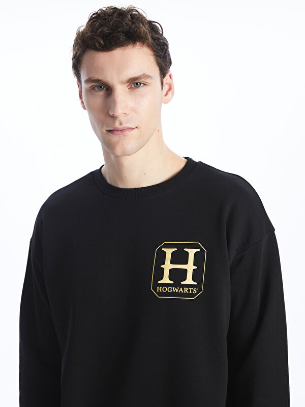 Lc waikiki 2025 harry potter sweatshirt