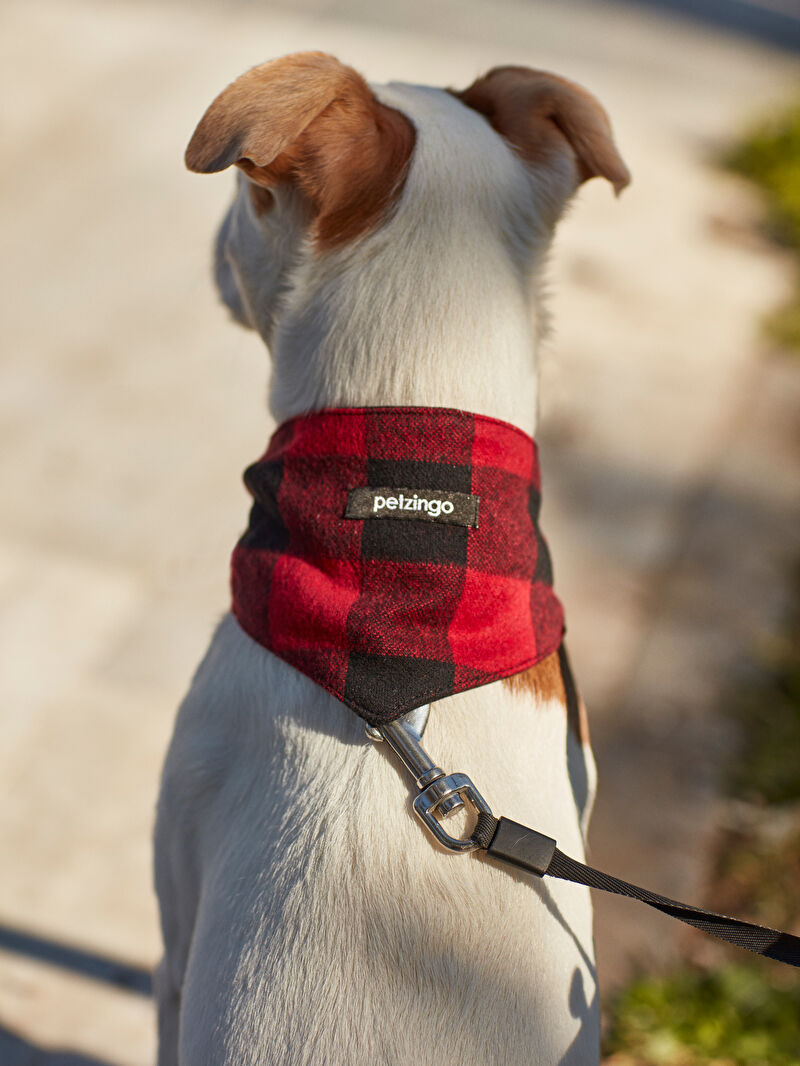 köpek bandanası