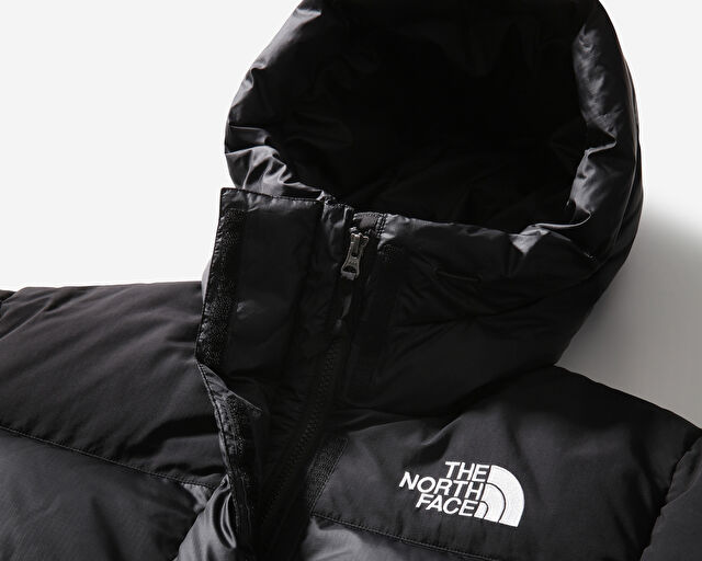 The North Face W Hmlyn Down Parka Kadın Outdoor Montu NF0A4R2WJK31 Siyah görsel 3