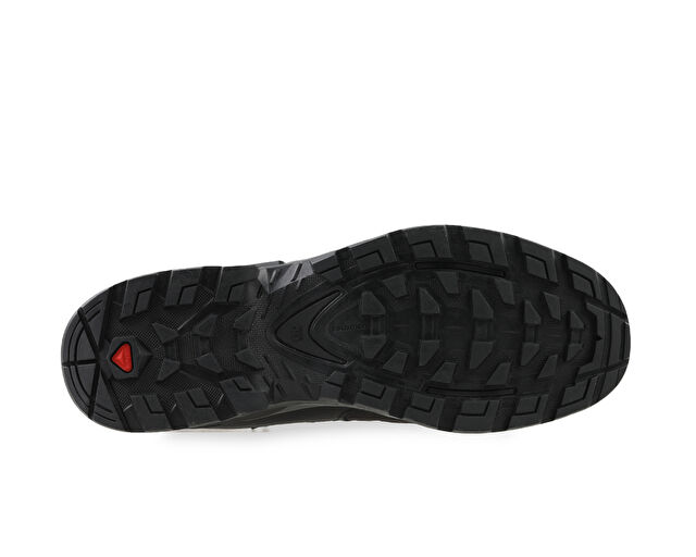 Salomon Quest 4 Gtx Erkek Trekking Bot Ve Ayakkabısı L41292600 Siyah görsel 5
