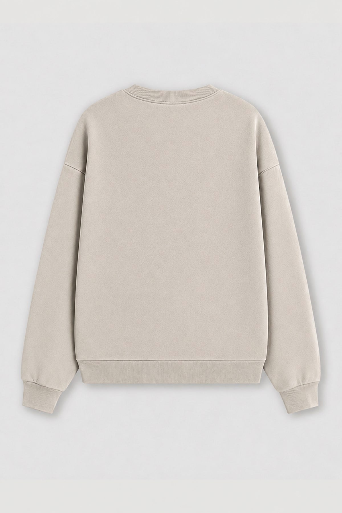Monila Kadın Premium Kumaş 3 İplik Şardonlu Uzaylı Baskılı Sweatshirt görsel 2