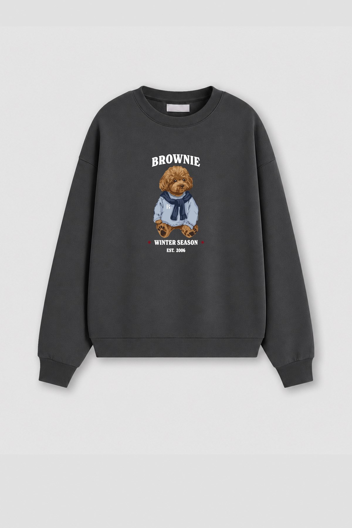 Monila Kadın Premium Kumaş 3 İplik Şardonlu Ayıcık Baskılı Sweatshirt görsel 2