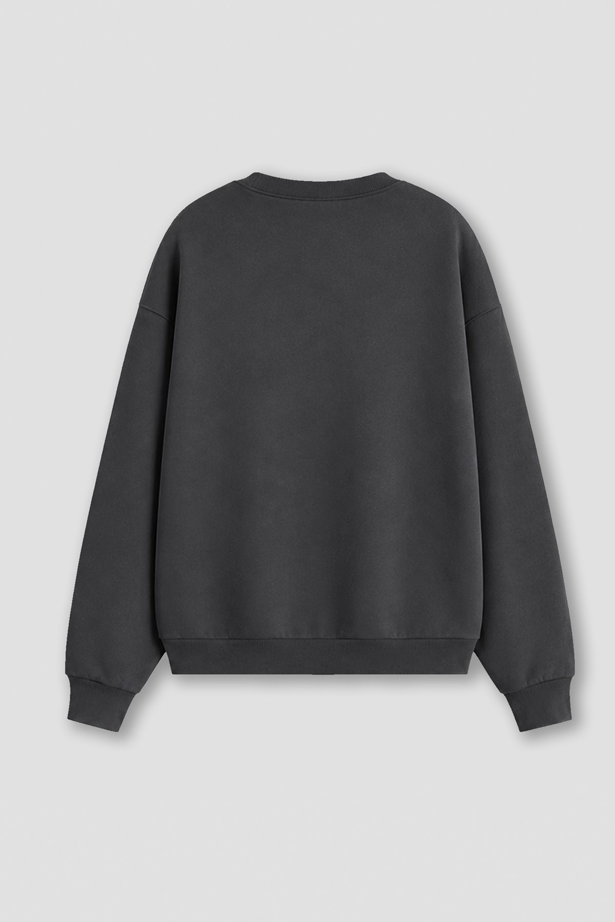 Monila Kadın Premium Kumaş 3 İplik Şardonlu Kurbağa Baskılı Sweatshirt görsel 3