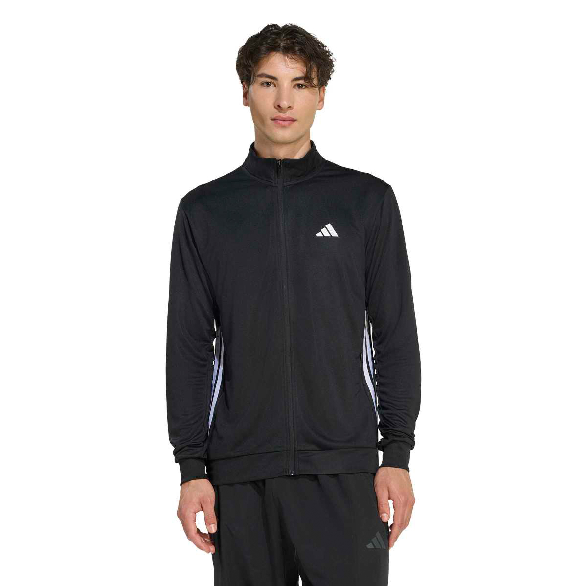 Adidas Dik Yaka Erkek Fermuarlı Sweatshirt