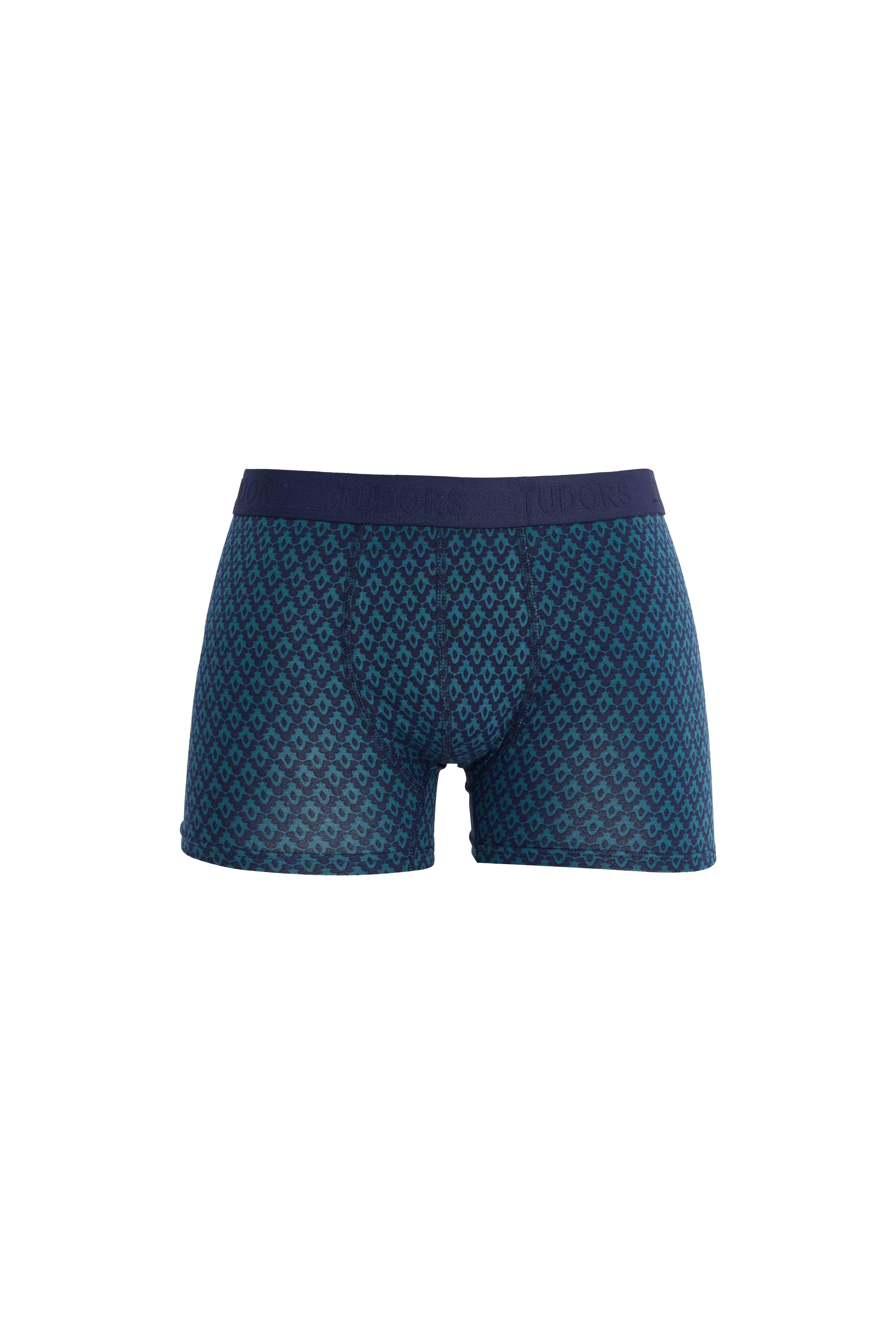 TUDORS Erkek 6'Lı Pamuklu Elastanlı Esnek Kumaş Premium Seri Boxer görsel 3