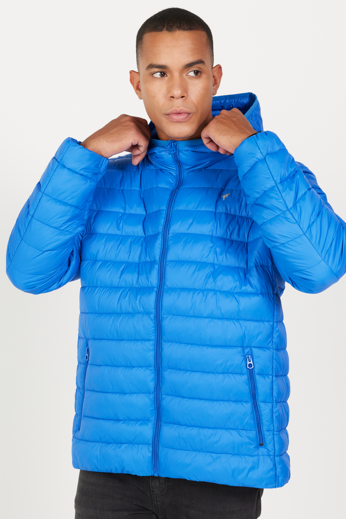 AC&Co / Altınyıldız Classics Erkek Saks Standart Fit Normal Kesim Kapüşonlu Şişme Mont görsel 2