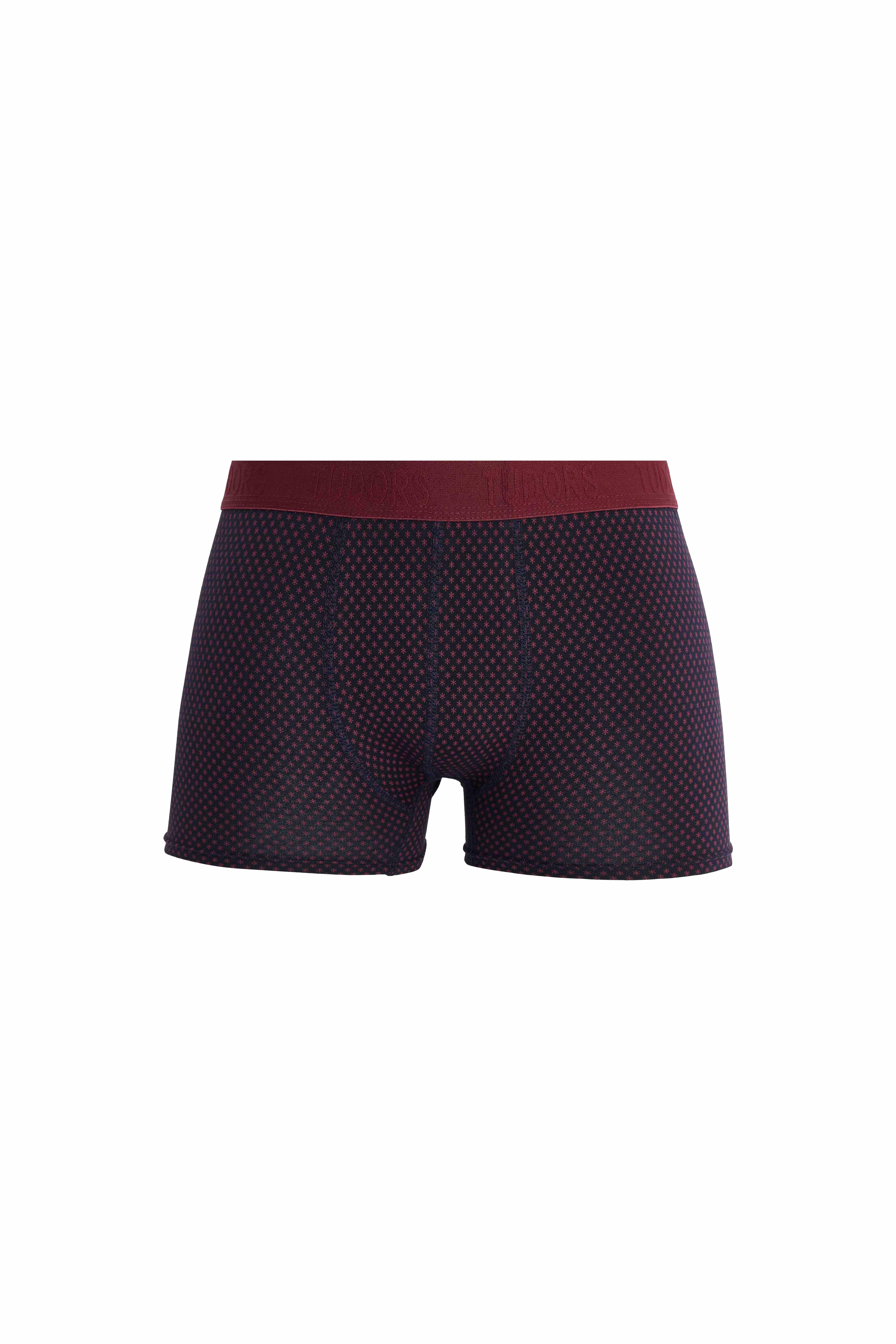 TUDORS Erkek 6'Lı Pamuklu Elastanlı Esnek Kumaş Premium Seri Boxer görsel 4