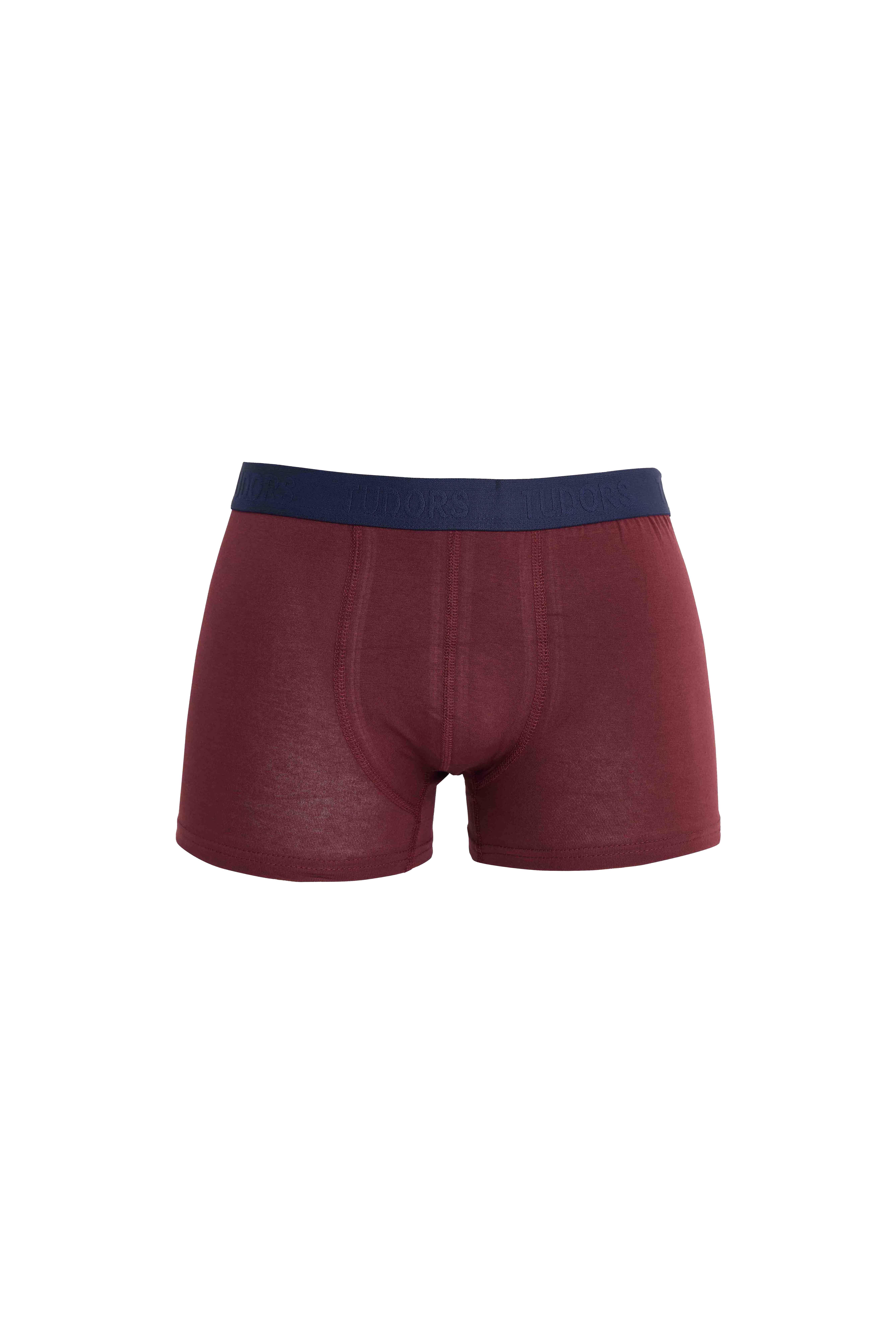 TUDORS Erkek 6'Lı Pamuklu Elastanlı Esnek Kumaş Premium Seri Boxer görsel 5