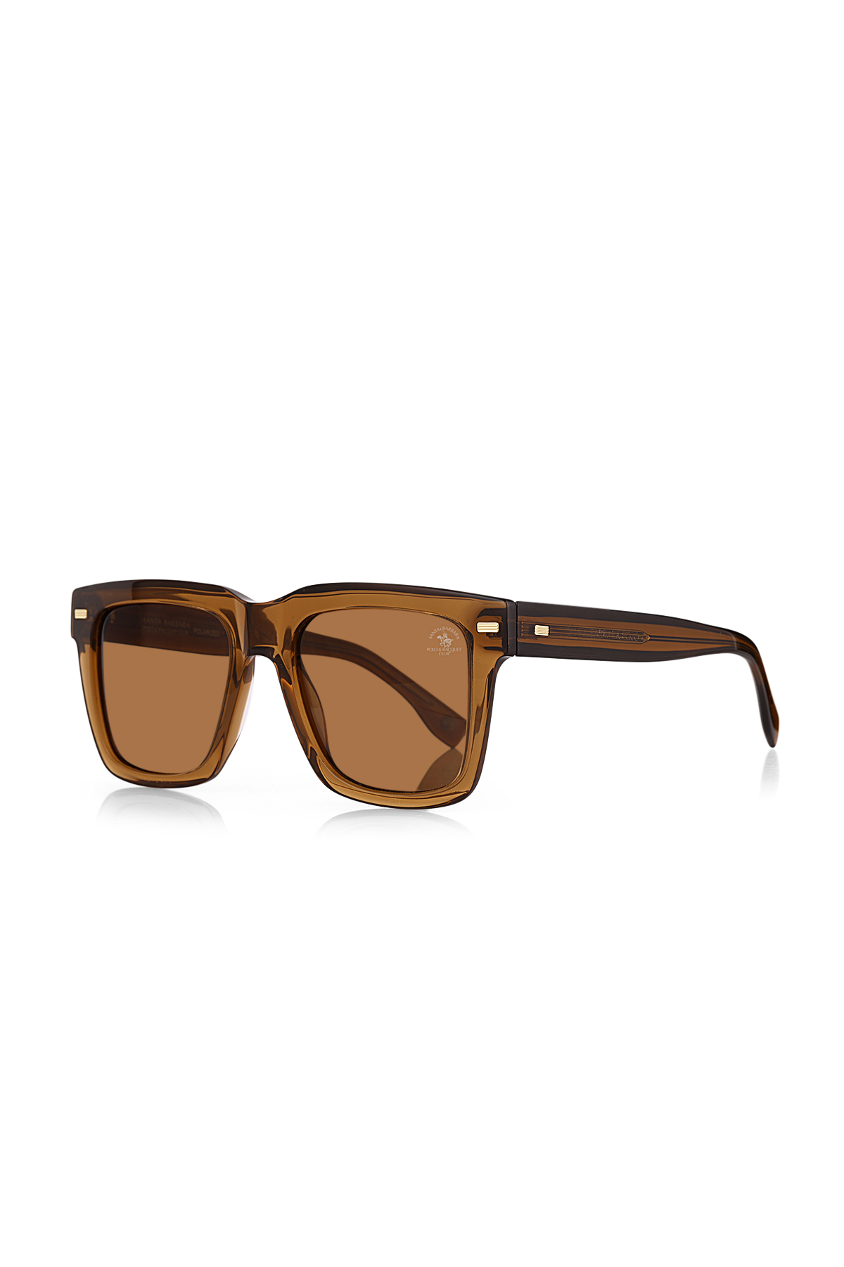 Santa Barbara Polo & Racquet Club SBS.1.1218.COL03 Erkek Güneş Gözlüğü görsel 2