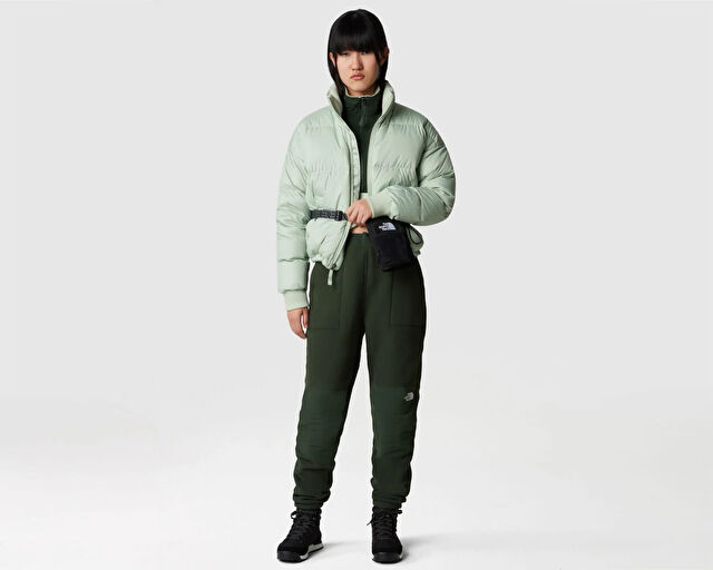 The North Face W Down Paralta Puffer Kadın Outdoor Montu NF0A3YSDI0G1 Yeşil görsel 5