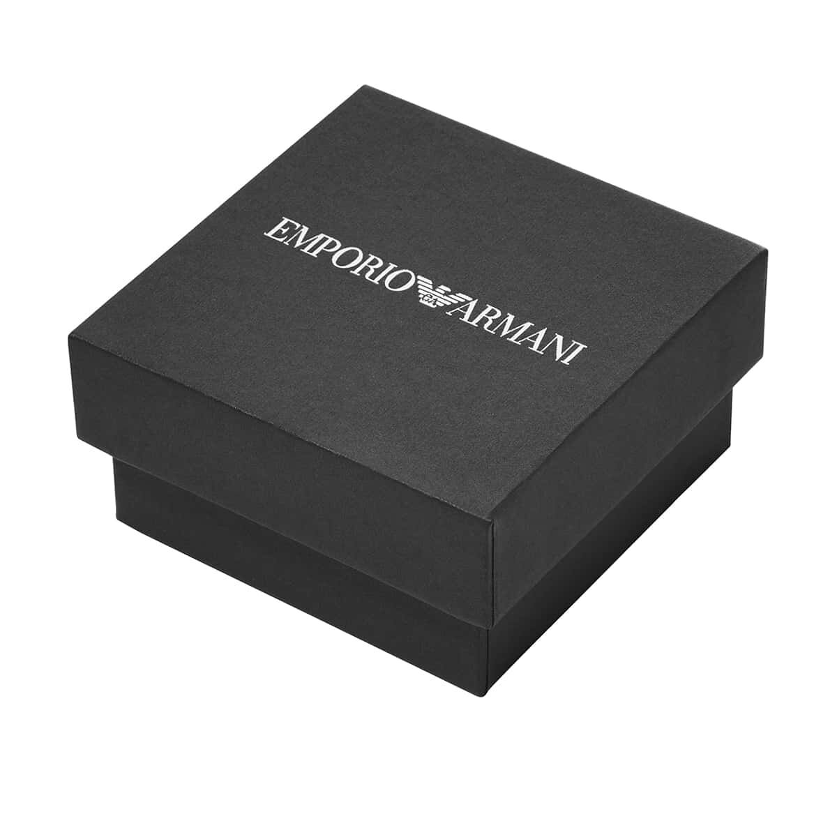 Emporio Armani AJEGS3130-040 Erkek Küpe görsel 3