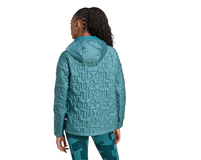 Adidas W Terrex Xpr Lf Ho Jkt Kadın Outdoor Montu JL9806 Mavi görsel 2