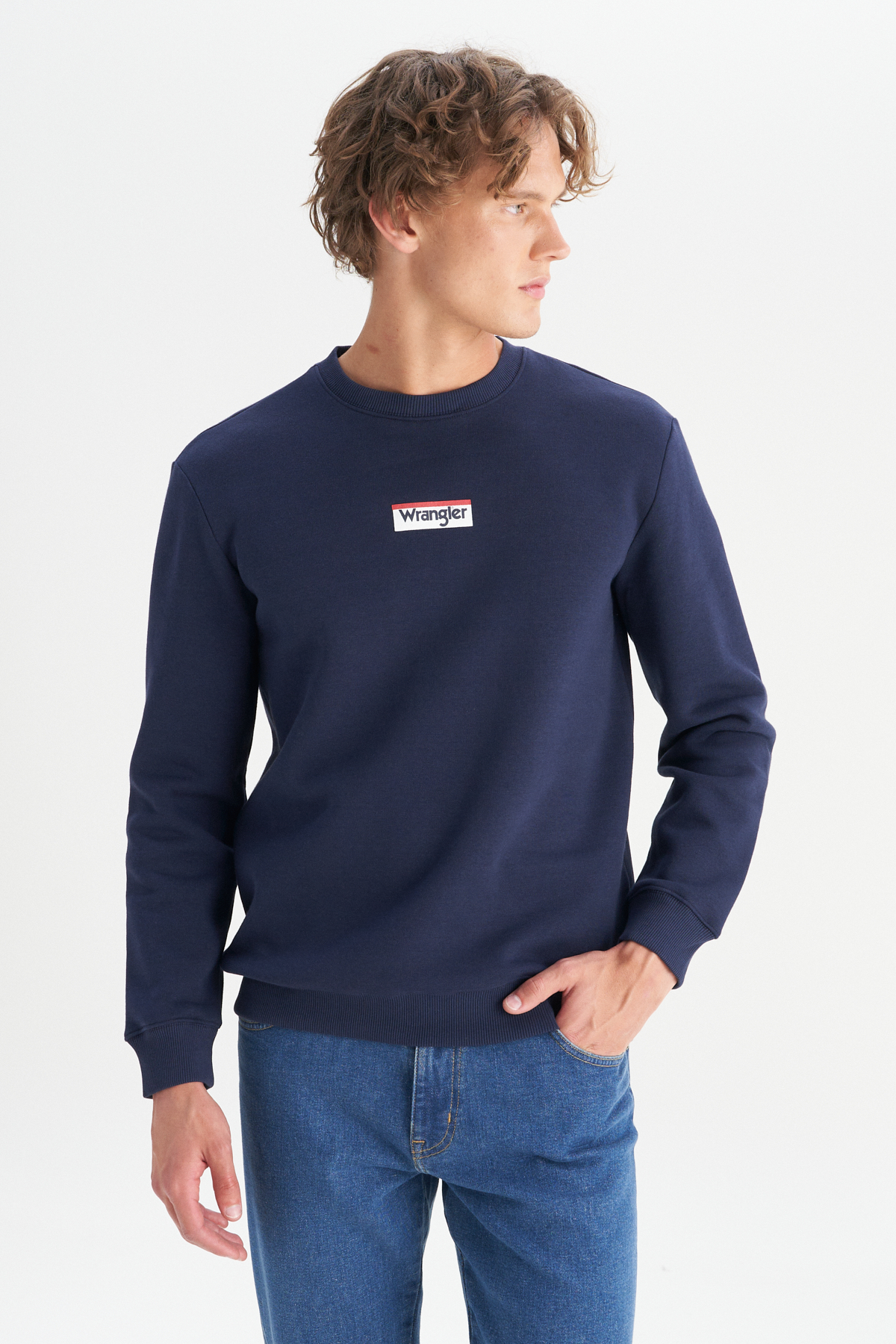 Wrangler Regular Fit Bisiklet Yaka İçi Polarlı Lacivert Sweatshirt görsel 3