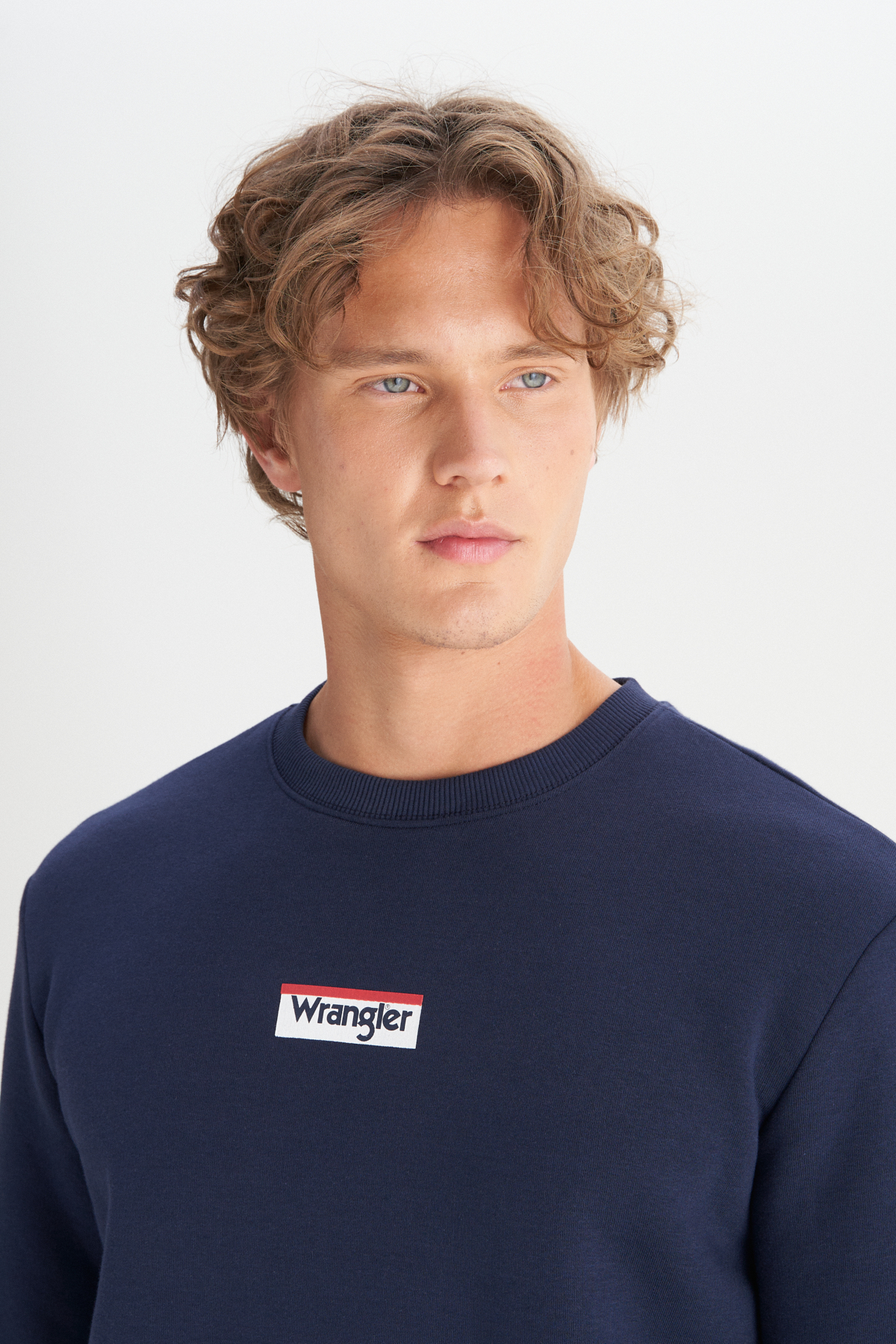 Wrangler Regular Fit Bisiklet Yaka İçi Polarlı Lacivert Sweatshirt görsel 4