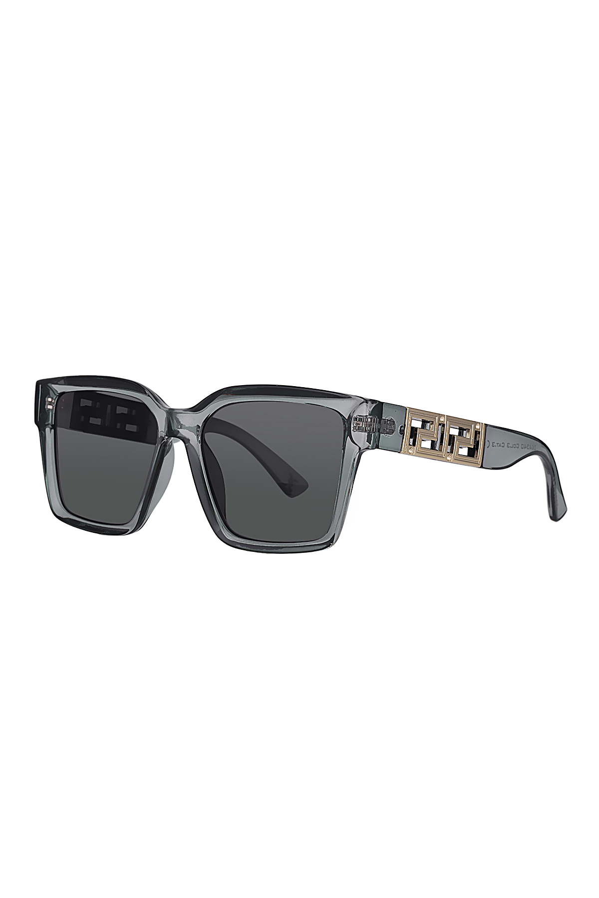 Daniel Klein DK4340COL03 Kadın Güneş Gözlüğü görsel 2