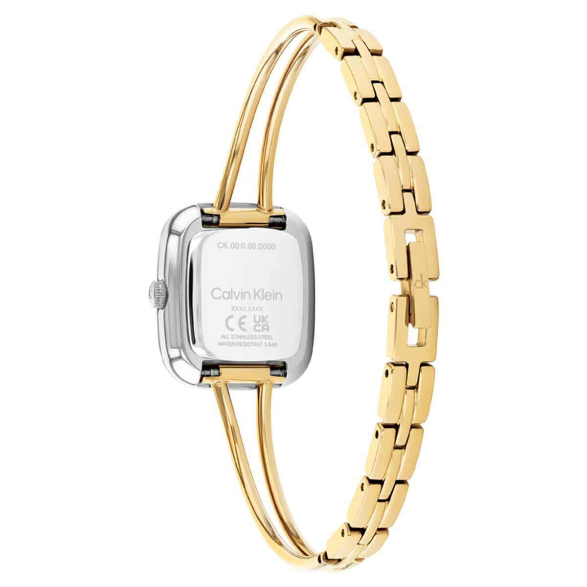 Calvin Klein CK25100134 Kadın Kol Saati görsel 2
