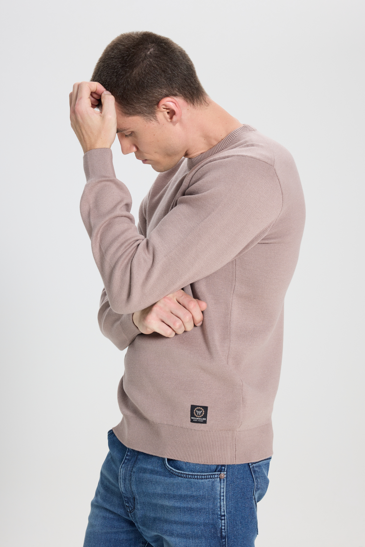 Wrangler Regular Fit Bisiklet Yaka Vizon Triko Kazak görsel 2