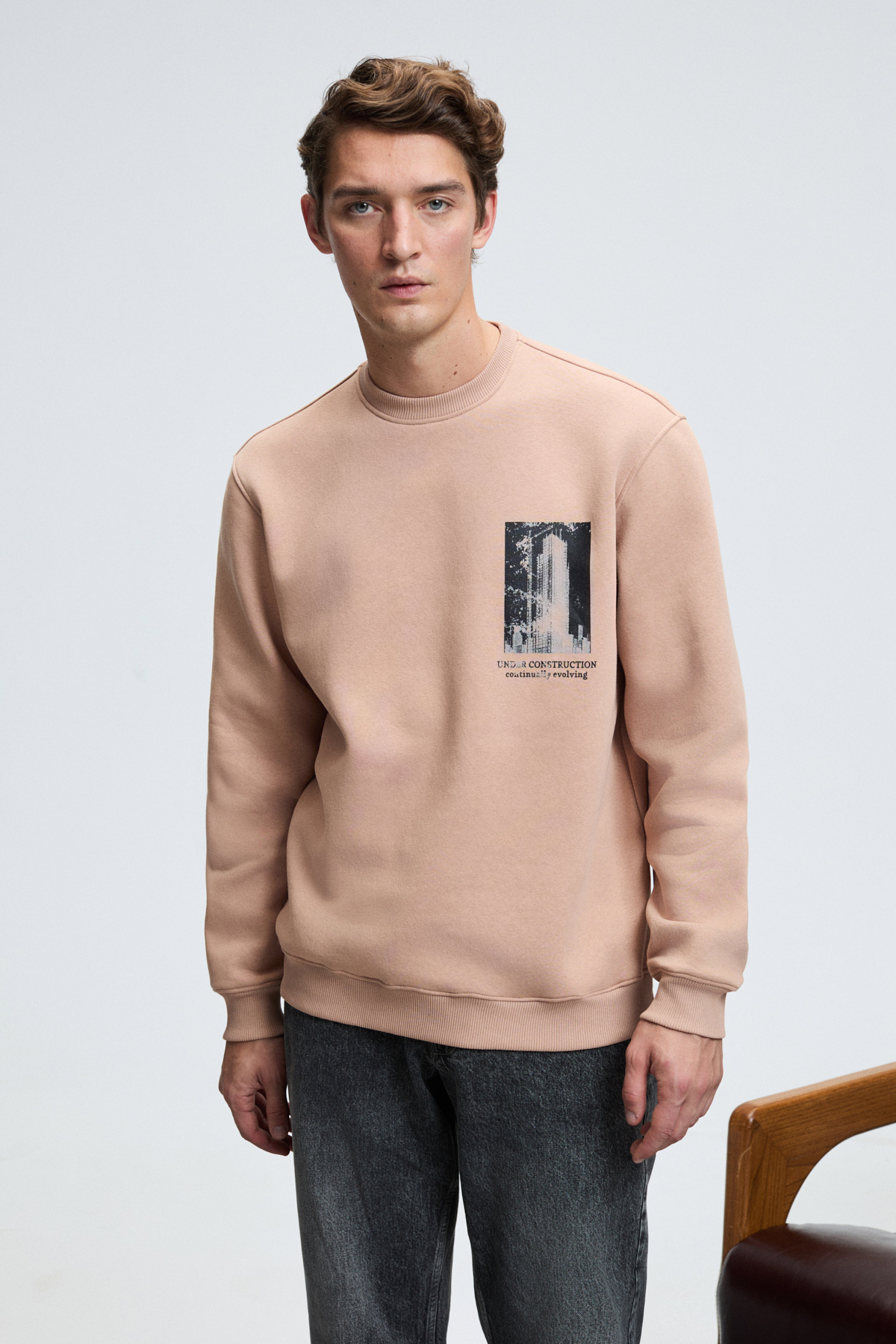 GRIMELANGE LUCIAN Erkek Göğsü Ve Sırtı Baskılı Yuvarlak Yaka Regular Fit VİZON Sweatshirt görsel 4