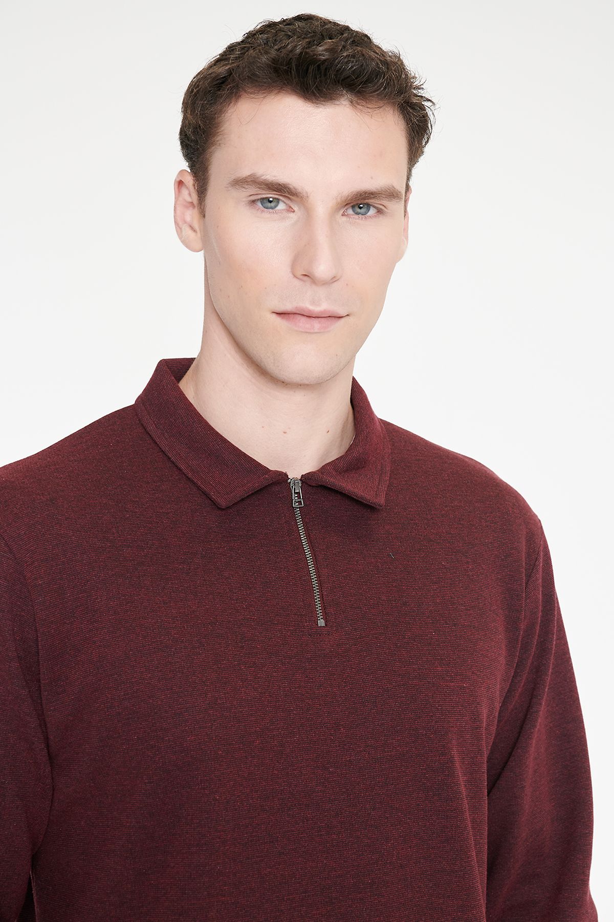 AC&Co / Altınyıldız Classics Erkek Bordo Pamuklu Standart Fit Normal Kesim Polo Yaka Sweatshirt görsel 4
