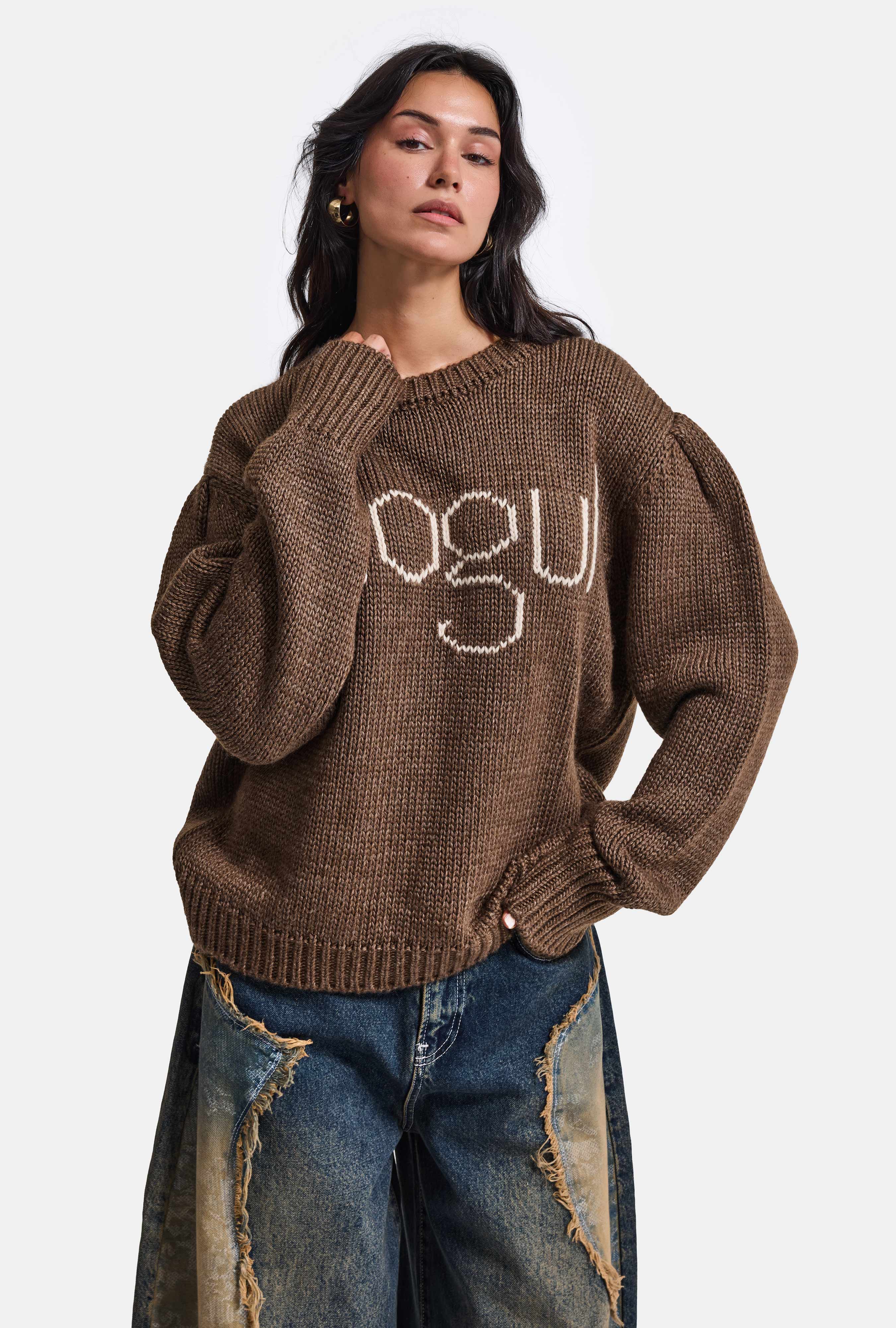 It's Basic Kadın Kahve w6-81 Mogul Nakışlı Oversize Tasarım Triko Kazak görsel 5