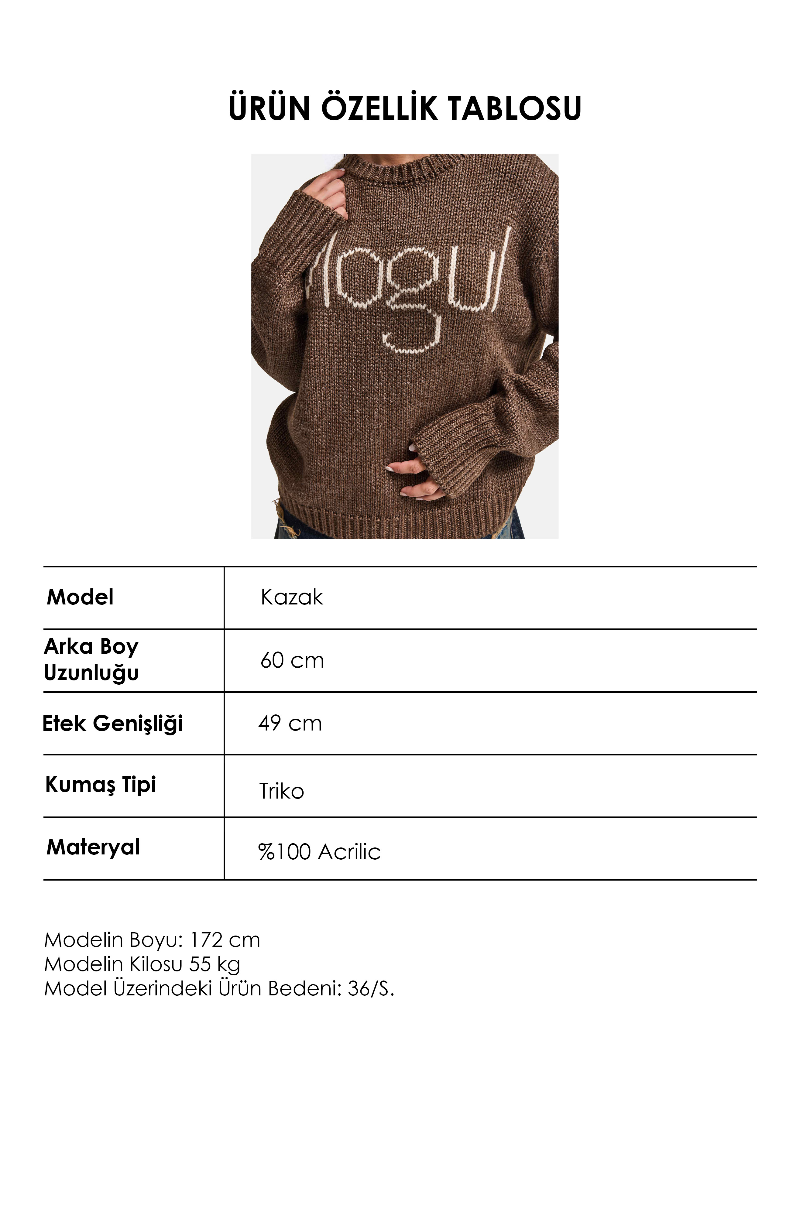 It's Basic Kadın Kahve w6-81 Mogul Nakışlı Oversize Tasarım Triko Kazak görsel 6