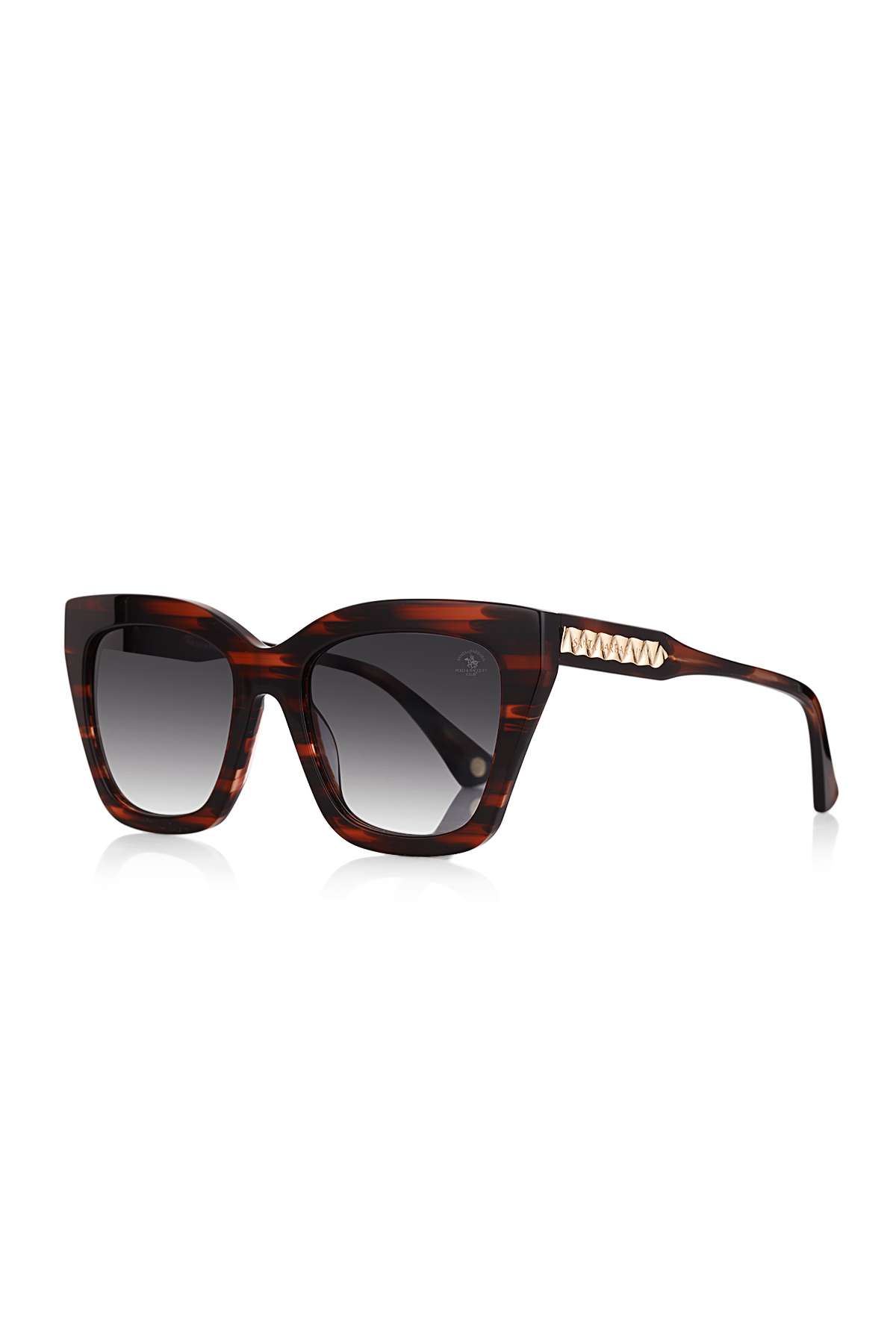 Santa Barbara Polo & Racquet Club SBS.1.1173.COL03 Kadın Güneş Gözlüğü görsel 2