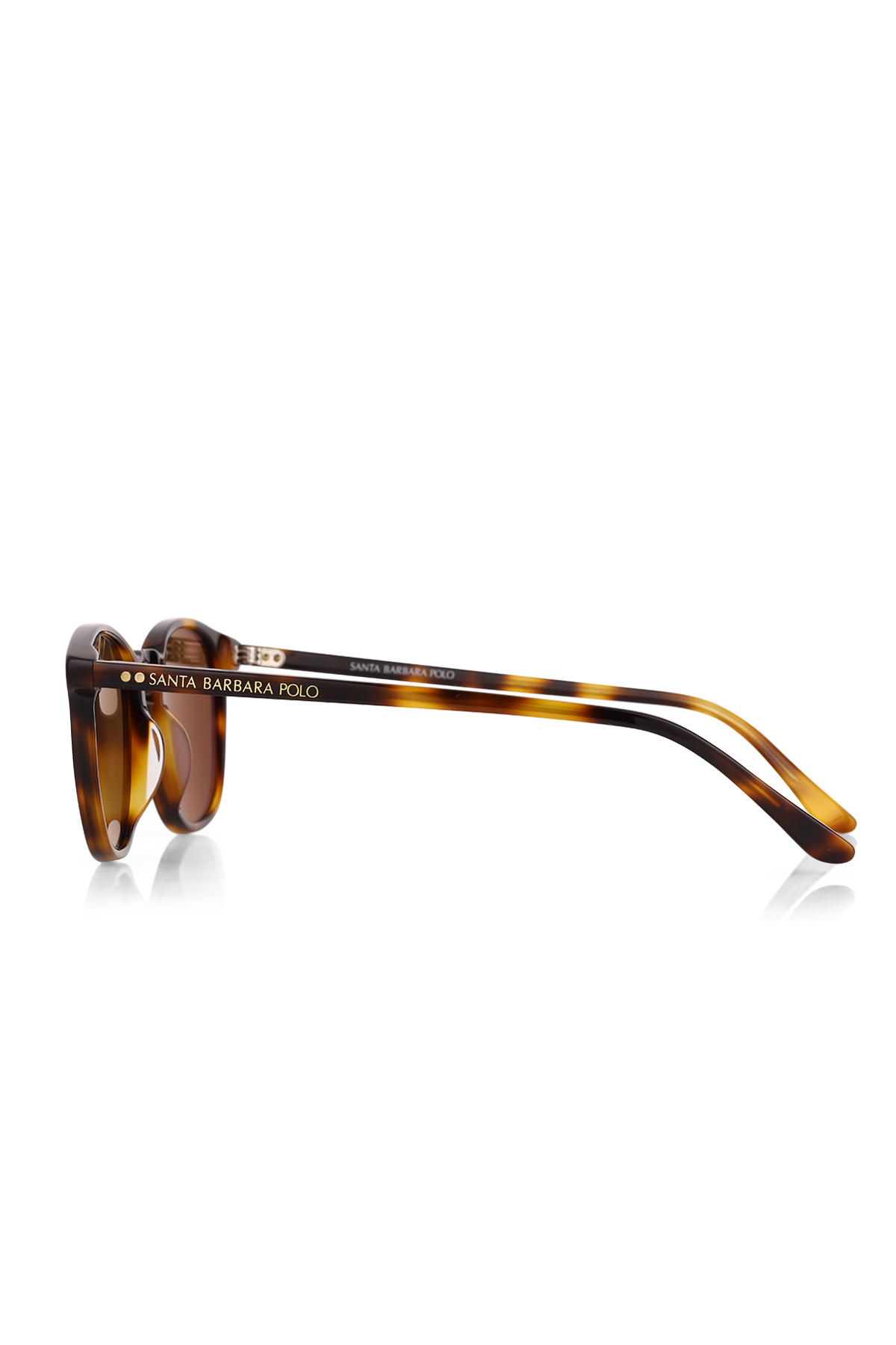 Santa Barbara Polo & Racquet Club SBS.1.1189.COL02 Kadın Güneş Gözlüğü görsel 3