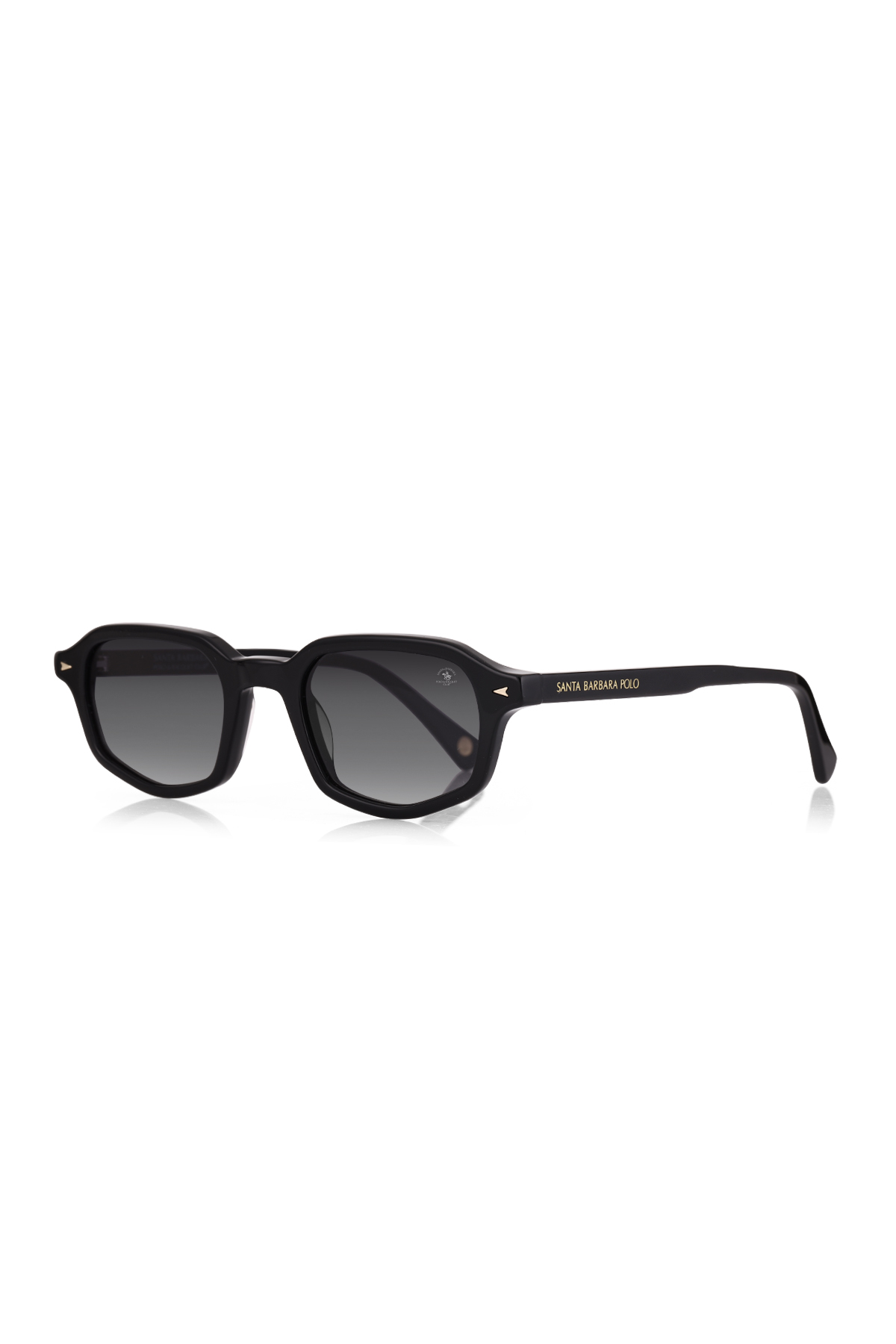 Santa Barbara Polo & Racquet Club SBS.1.1190.COL01 Kadın Güneş Gözlüğü görsel 2