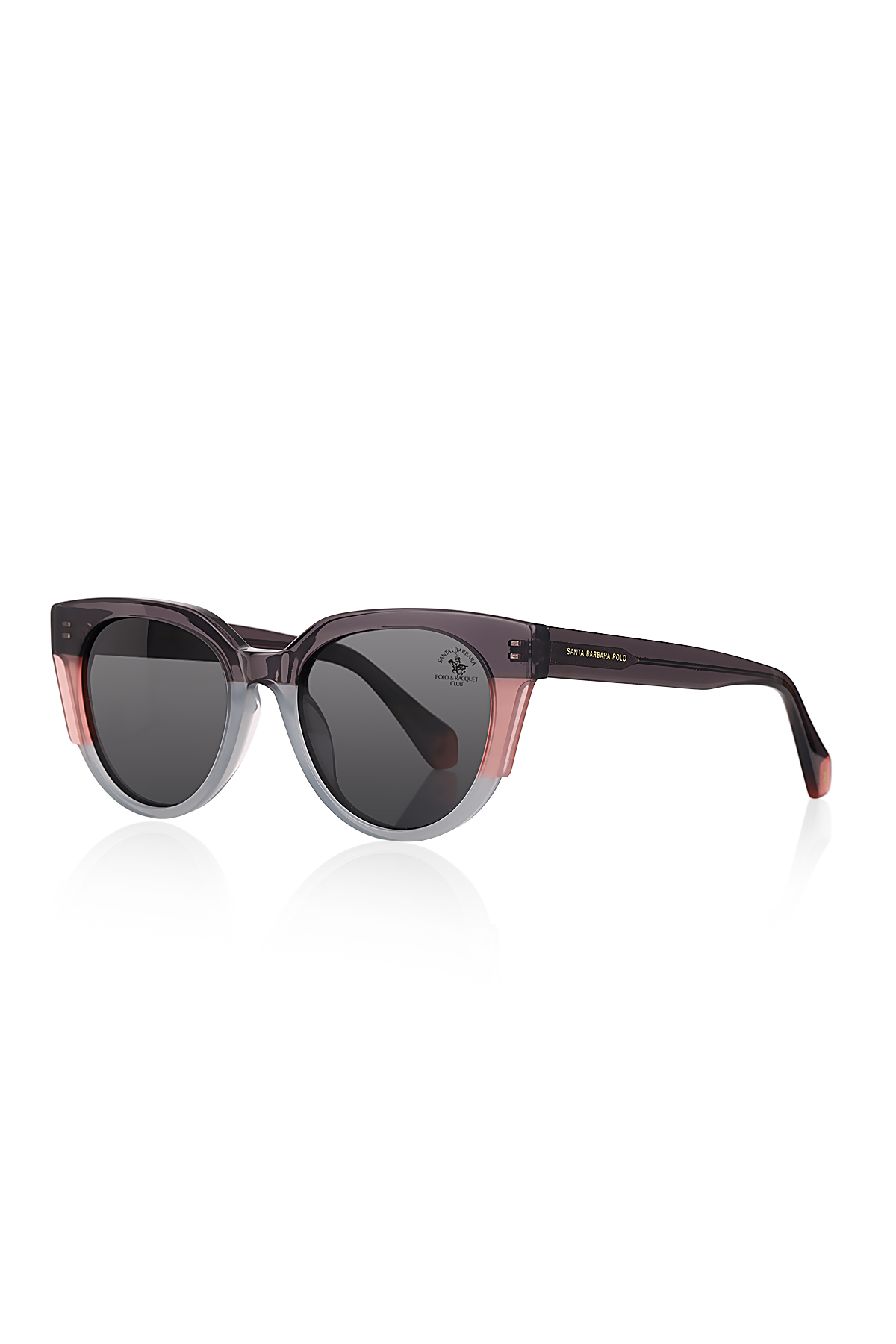 Santa Barbara Polo & Racquet Club SBS.2.5008.COL02 Kadın Güneş Gözlüğü görsel 2