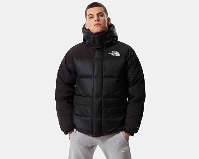 The North Face Siyah Erkek Outdoor Montu NF0A4QYXJK31 M Hmlyn Down Parka görsel 3