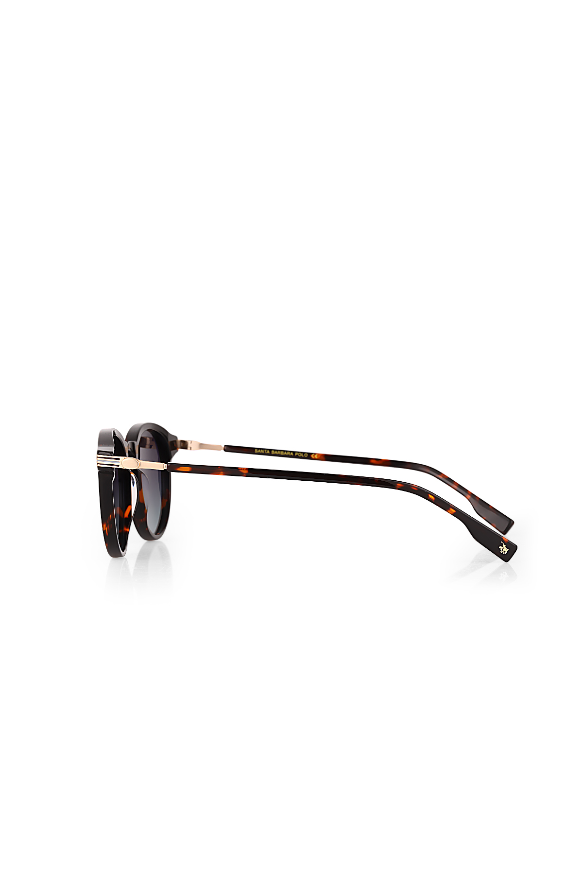 Santa Barbara Polo & Racquet Club SBS.2.5028.COL02 Kadın Güneş Gözlüğü görsel 3