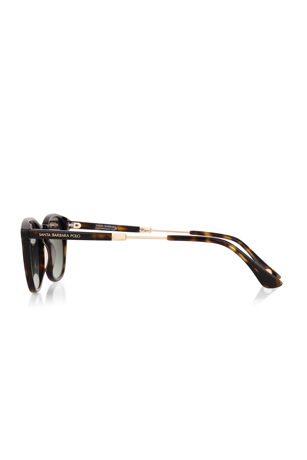 Santa Barbara Polo & Racquet Club SBS.1.1195.COL02 Kadın Güneş Gözlüğü görsel 3