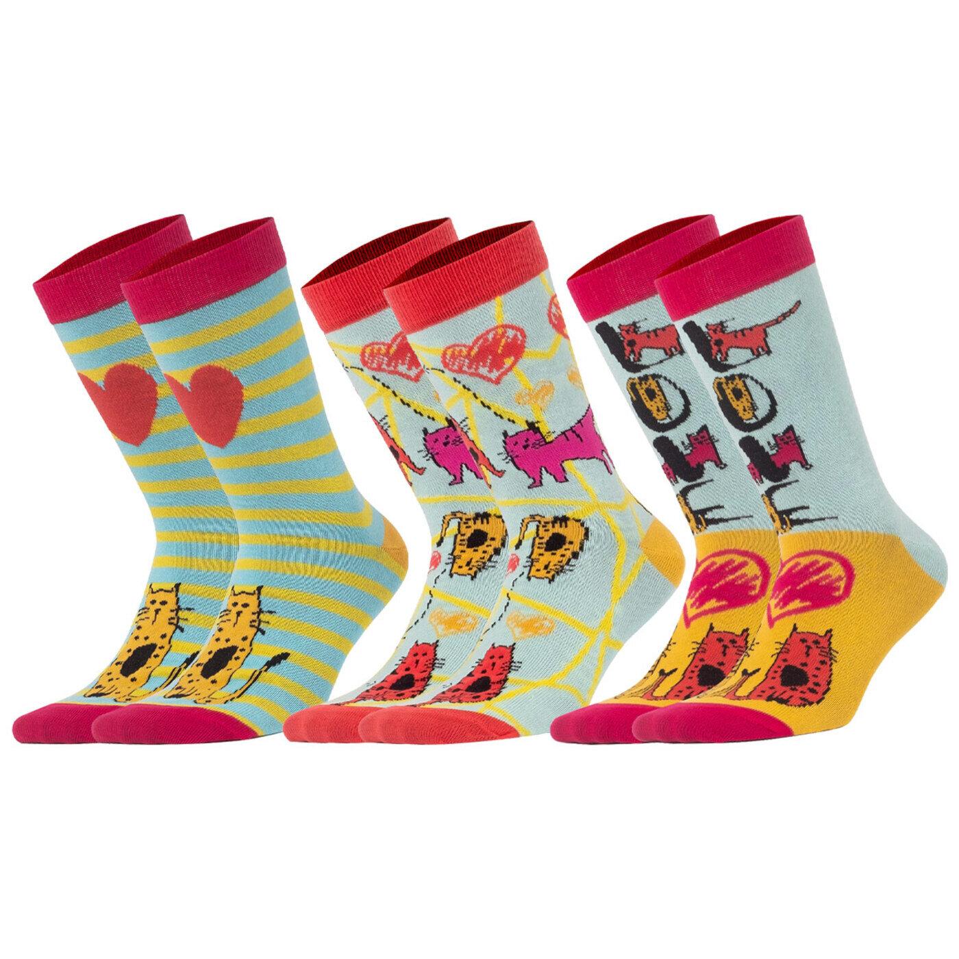 Biggdesign Cats Kadın Soket Çorap Seti görsel 4