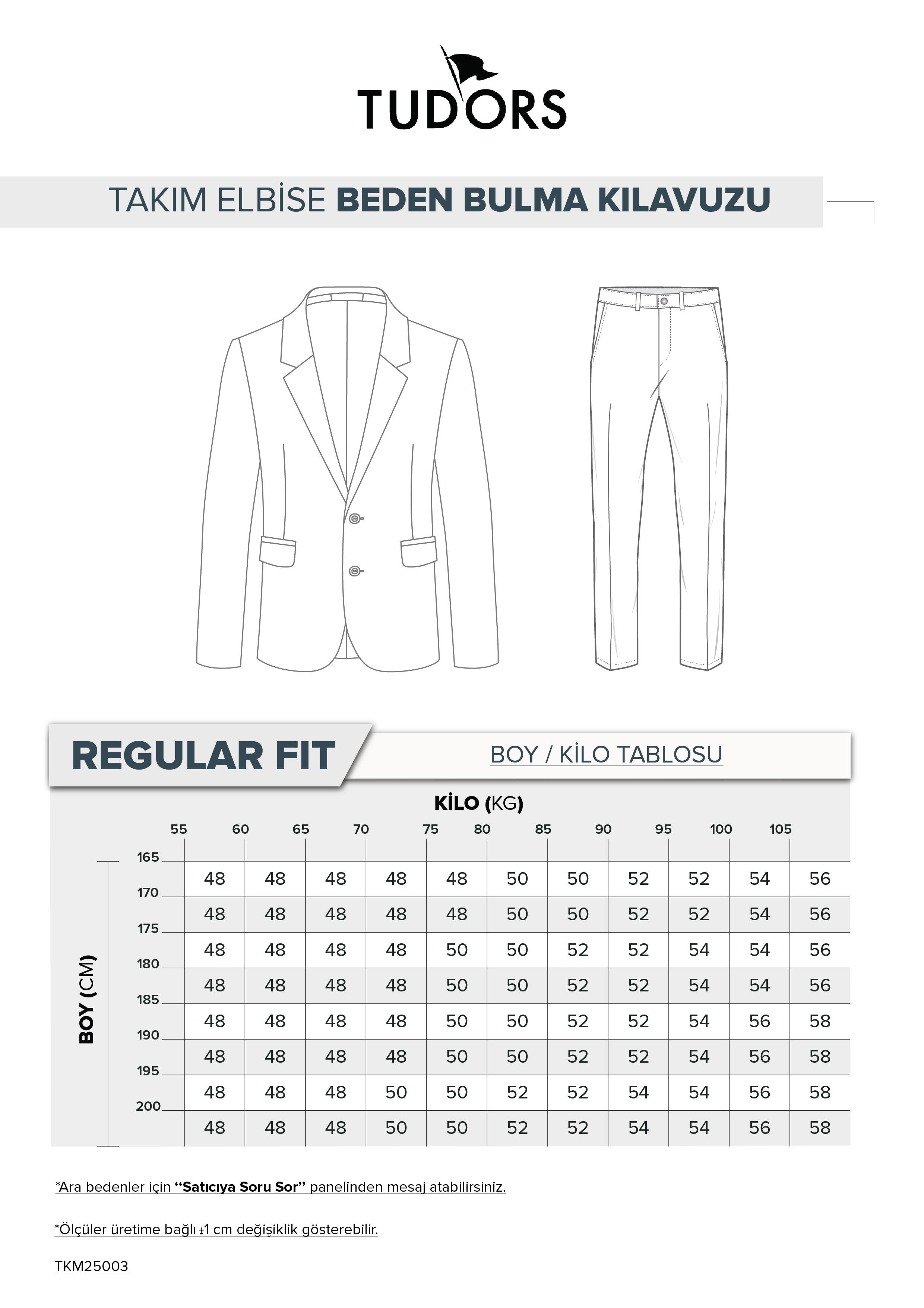 TUDORS Erkek Regular Fit Siyah Esnek Elastanlı Kumaş Mono Yaka Kapaklı Cepli Takım Elbise görsel 8