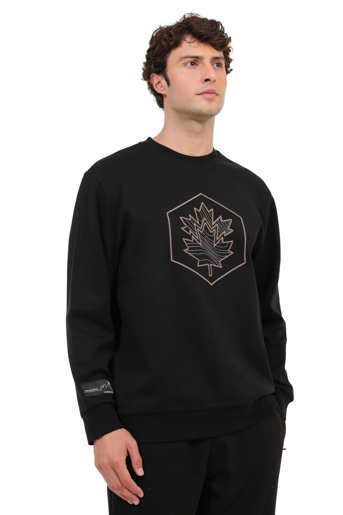 Lumberjack Sweatshirt Erkek BlackBeauty ML ARMAN 16NAT26-4 görsel 2