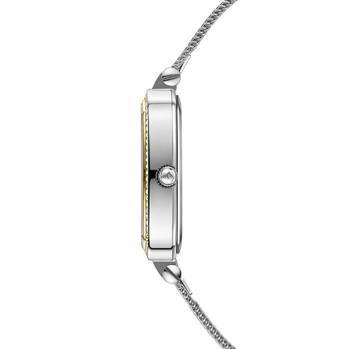 Roche Montre RML5008-03 Kadın Kol Saati görsel 2