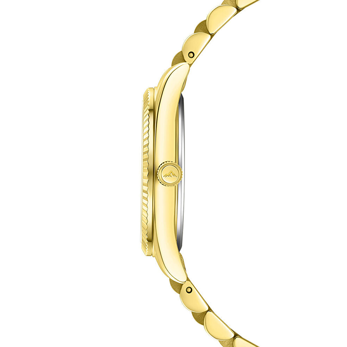 Roche Montre RML5017-06 Kadın Kol Saati görsel 2