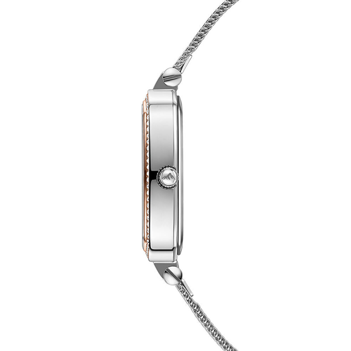 Roche Montre RML5008-02 Kadın Kol Saati görsel 2