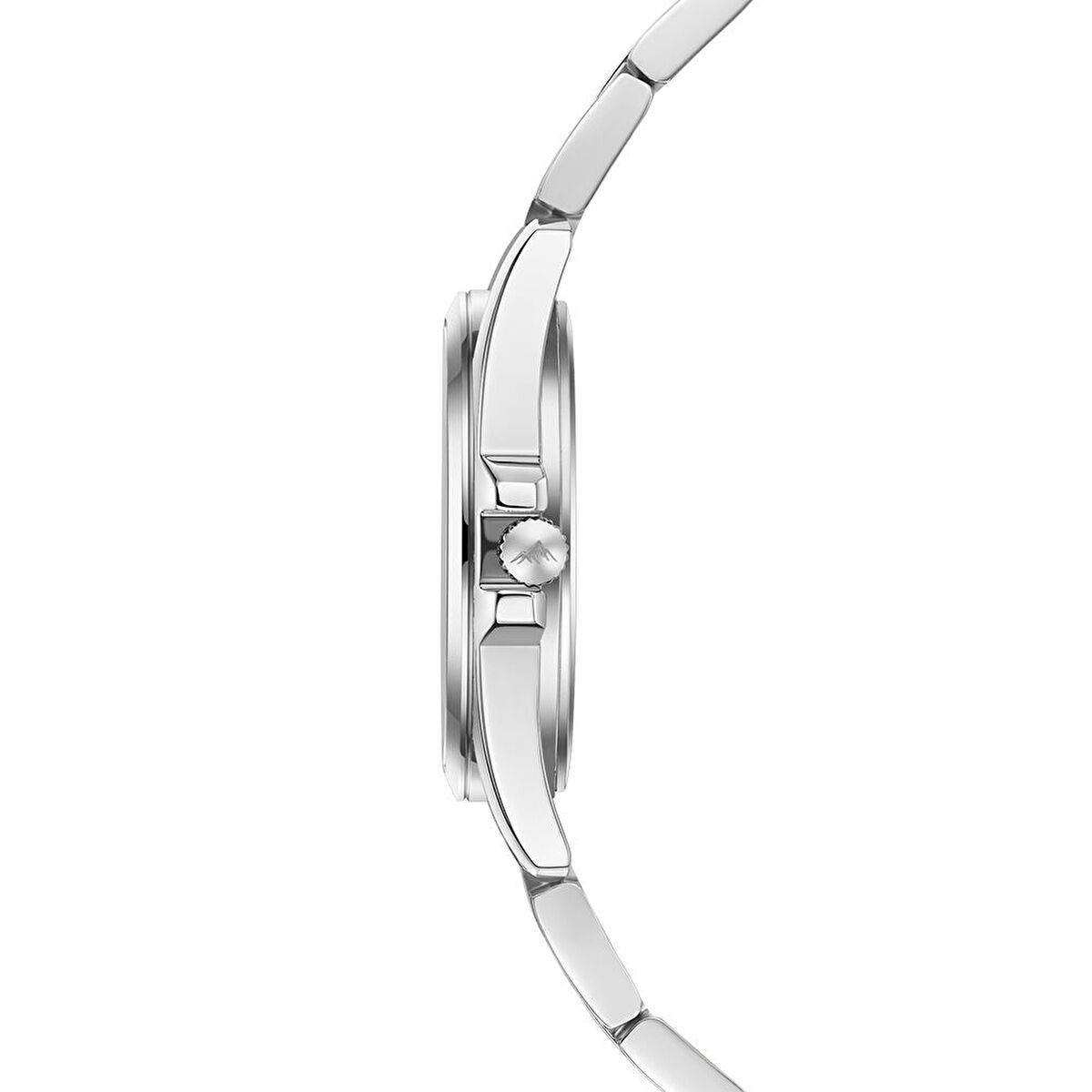 Roche Montre RML5009-01 Kadın Kol Saati görsel 2