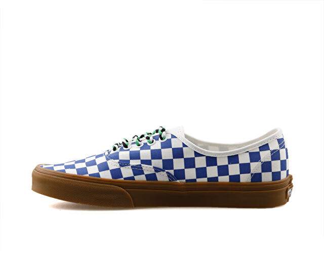 Vans Authentic Erkek Günlük Ayakkabı VN0009PVY6Z1 Renkli görsel 2