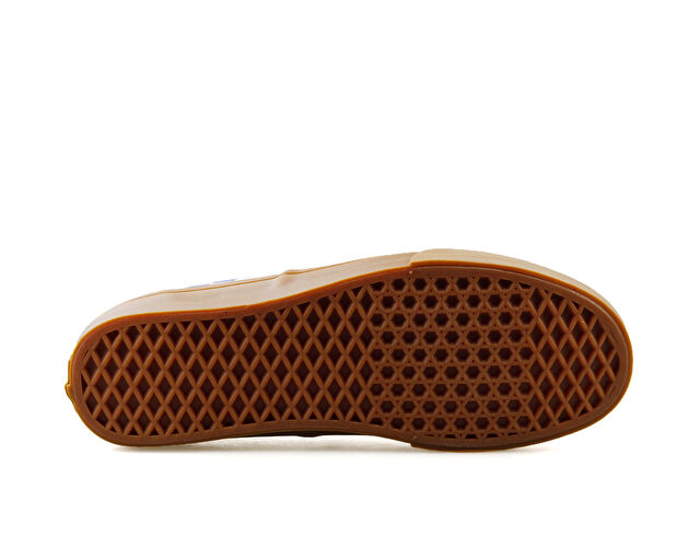 Vans Authentic Erkek Günlük Ayakkabı VN0009PVY6Z1 Renkli görsel 5